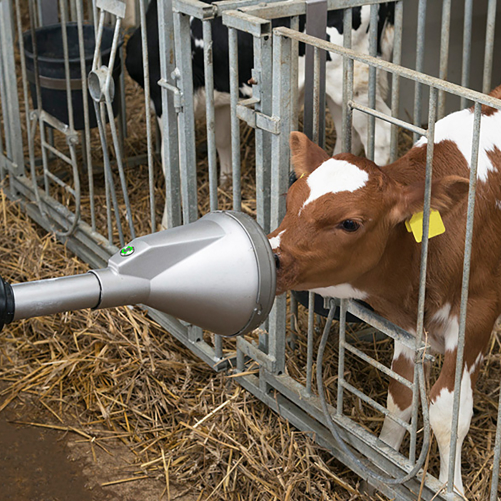 calf-Calf-Rail-feeding-FOE7394_02